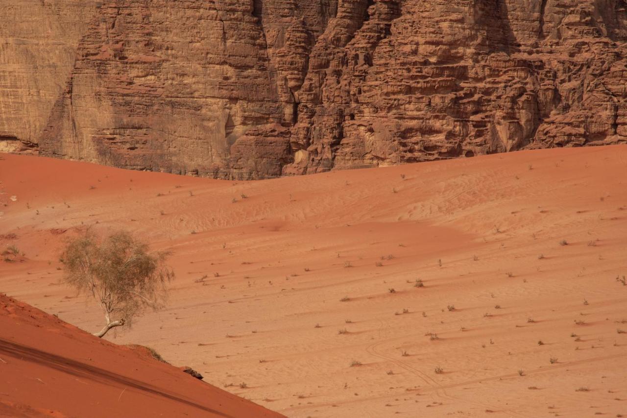 Wadi Rum Nights Exteriér fotografie