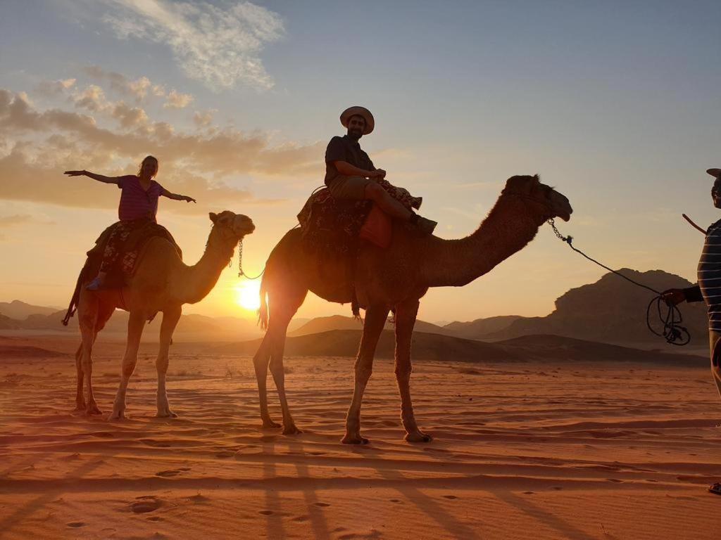 Wadi Rum Nights Exteriér fotografie